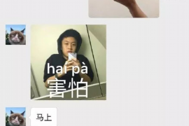 供应商年轻女子讨债:维权之路的挑战与启示 供应商年轻女子讨债:维权之路的挑战与启示