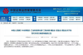 锦城消费金融贷款催收:全面解析与应对策略 锦城消费金融贷款催收:全面解析与应对策略